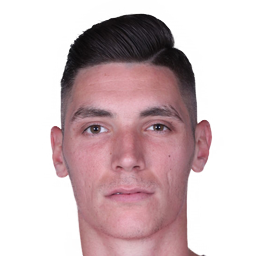 Nikola Milenkovic